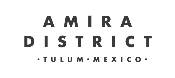 10-amira.png