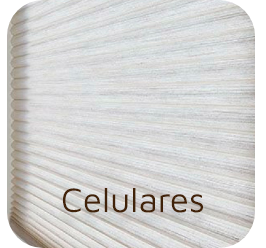 Persinas Tulum, Persianas Celulares: persianas y cortinas con instalación profesional en Tulum, Q.Roo